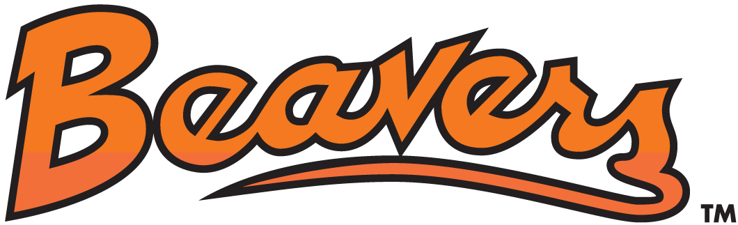 Oregon State Beavers 1979-1996 Wordmark Logo diy iron on heat transfer